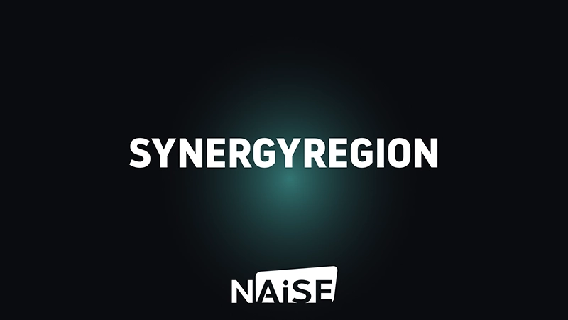 SynergieRegion and NAiSE project branding on gradient background representing connected production and smart city infrastructure collaboration